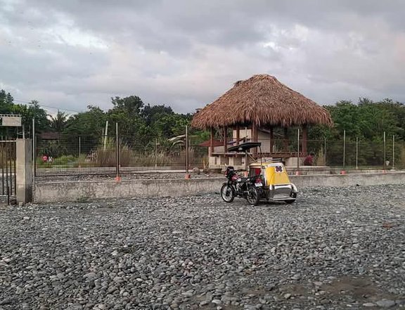 Titled w/ Tax Declaration  Lot w/ Nipa hut FOR SALE along Barangay Road at Bangar, La Union