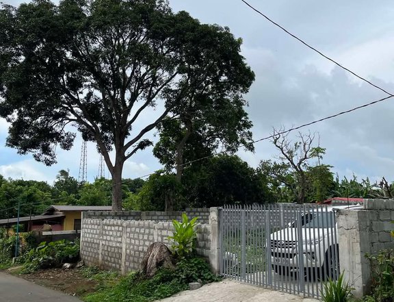 1,192 sqm Farm Lot For Sale in Alfonso Cavite