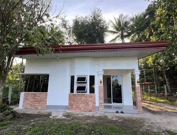 Ready For Occupancy 2-bedroom House and Lot For Sale in Valencia Luzurriaga Negros Oriental