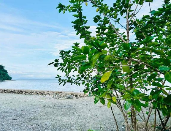 1,000 sqm Beach Property For Sale in Buenavista Quezon