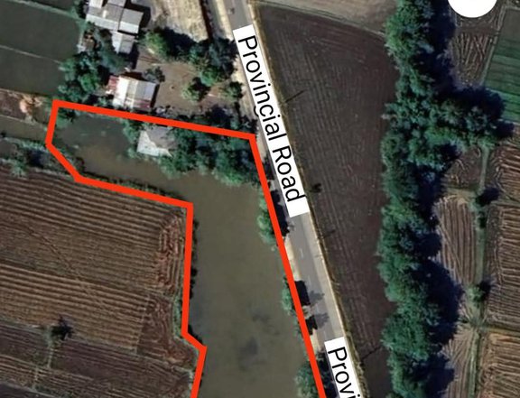 Clean Titled Lot/Land FOR SALE along wide cemented road in a Flood Free Area at Cabugao, Ilocos Sur