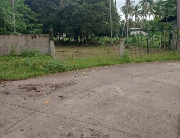 2,555 sqm Residential Lot For Sale in Valencia Luzurriaga Negros Oriental