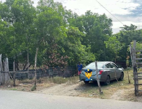 Clean Titled  Residential Lot FOR SALE along cemented Brgy road at Binmaley, Pangasinan