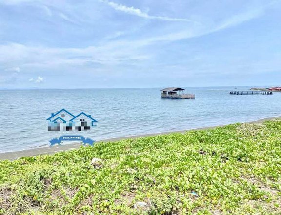 Beach House & Lot For Sale in Cabadbaran