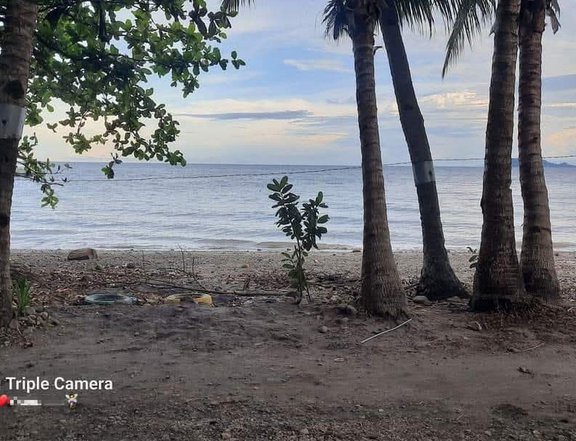 Own this semi rest house, with native bamboo house fronting the shore of dauin