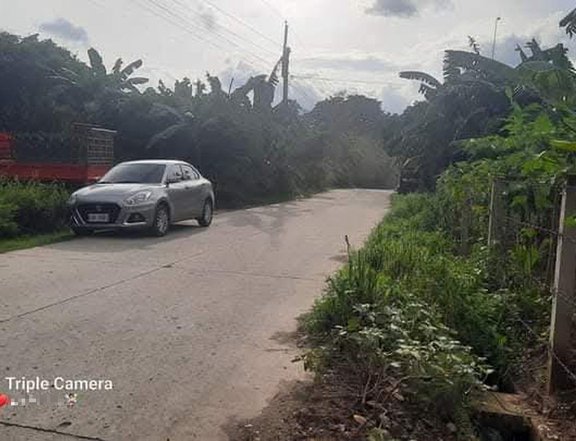 Own this lot along the minicipal road, where you can build your dream home