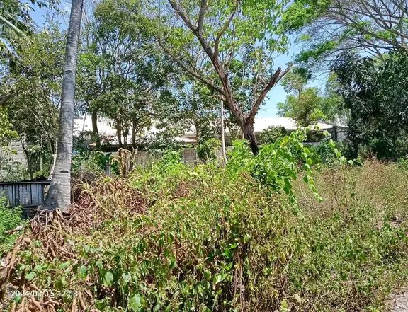 268 sqm Residential Lot For Sale in Lamut,  Ifugao