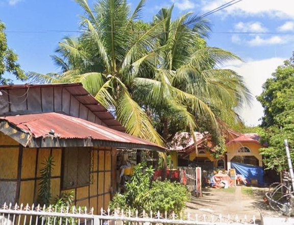 Clean Titled  House and Lot w/ Nipa Hut FOR SALE in a Flood Free Area at San Fabian, Pangasinan