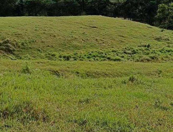 100 sqm Residential Farm For Sale in Tabogon Cebu