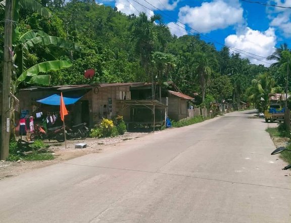 75 sqm Residential Titled Lot For Sale Along provincial l highway Danao City