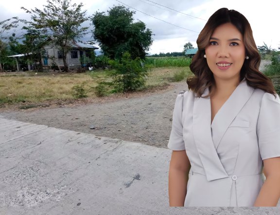 Lot for Sale located at Santo Domingo, Ilocos Sur