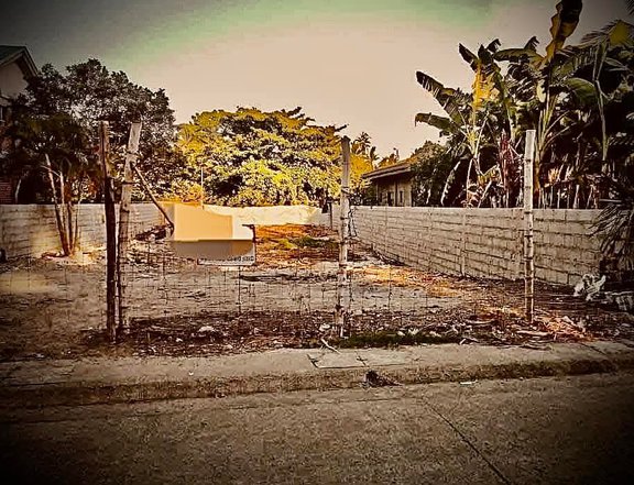 Good for Apartment and Residential Dumaguete Lot For Sale