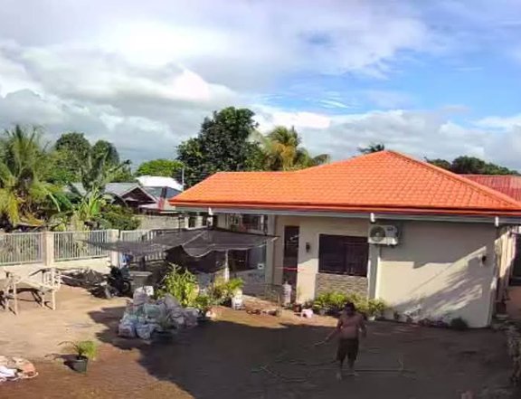 Selling this brand new fully furnished house and lot in Sibulan, Negros Oriental.