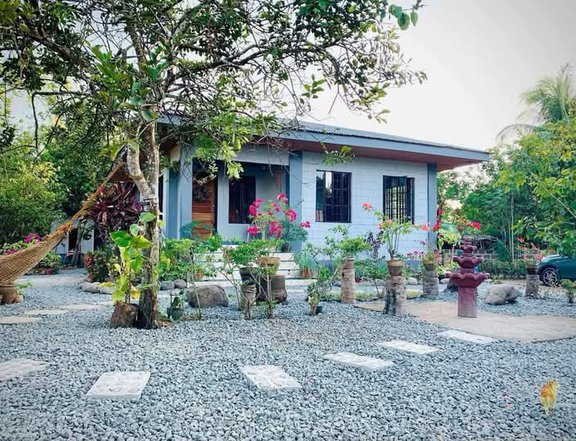 House and Farm lot located at Tiaong, Quezon