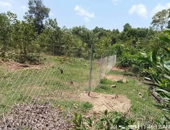 200sqm Farm Lot for Sale in Sibunag Guimaras with Fence