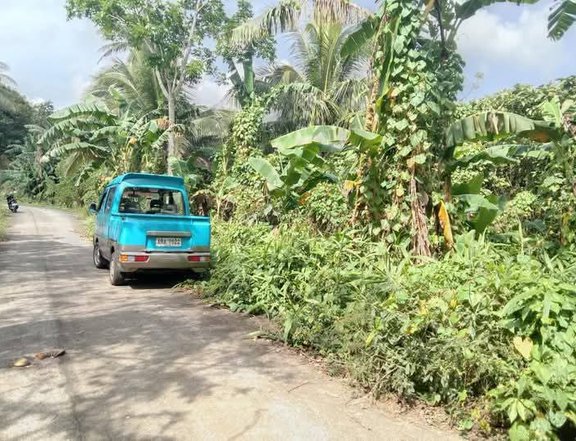 1,020 sqm Farm Lot For Sale in Mendez