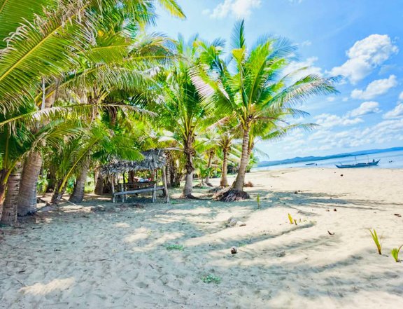 500 sqm Beach Property For Sale in Mulanay Quezon
