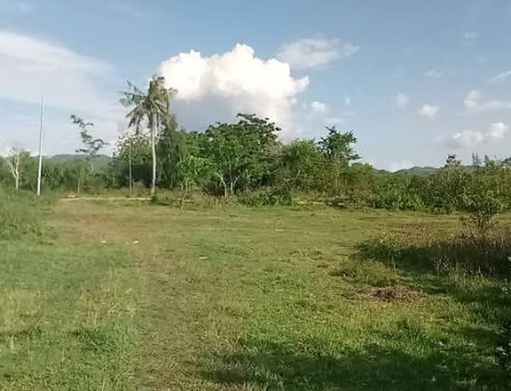 500sqm. Residential Lot for Sale. Aloguinsan South Cebu