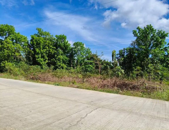 100sqm Residential Lot for Sale in Pinamungajan South Cebu