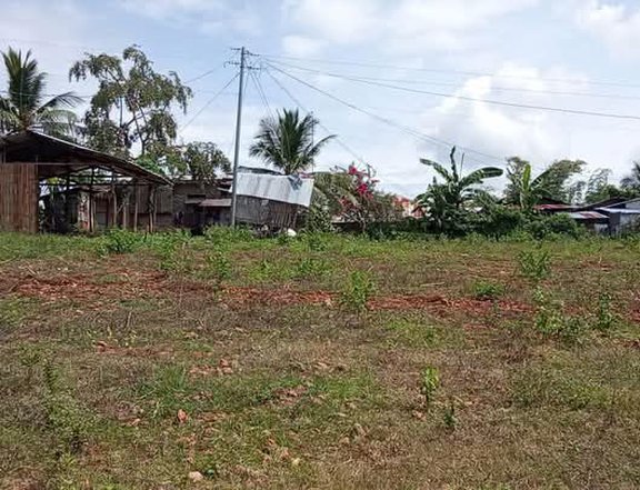 Rush sale 250sqm, fro.only 120k Tax declaration located at Gitagum.Mis.or