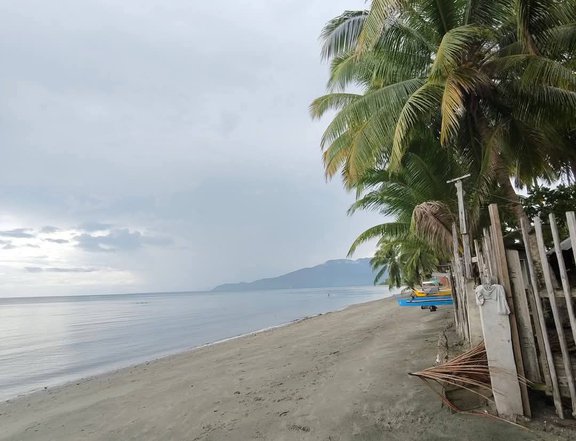 400 sqm Beach Property For Sale in Banaybanay Davao Oriental