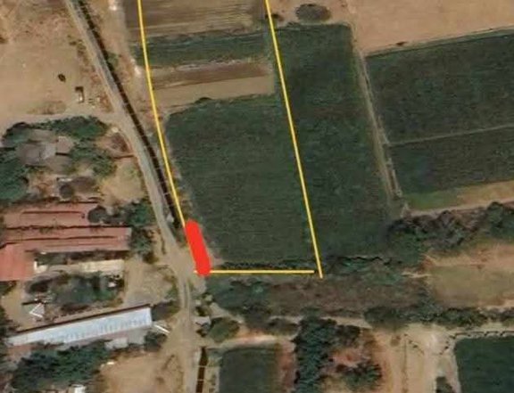 Clean Titled Residential/Farm Lot FOR SALE in a Flood Free Area at Vigan City, Ilocos Sur