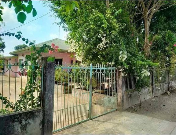 Clean Titled House and Lot FOR SALE in a Flood Free Area at San Ildefonso, Ilocos Sur