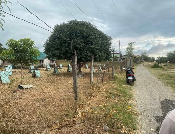 Clean Titled Lot FOR SALE in a Flood Free Area at Vigan City, Ilocos Sur