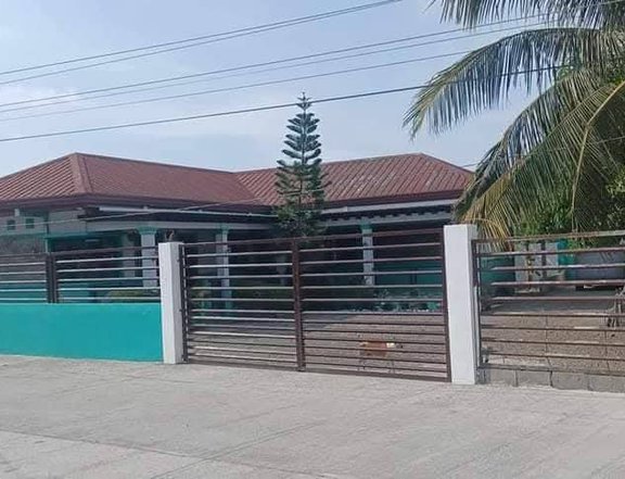 Clean Titled House and Lot FOR SALE along cemented Barangay Road at San Juan/Lapog, Ilocos Sur