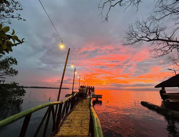 300 sqm Beach Property For Sale in Mabini Dona Alicia Davao De Oro Compostela Valley