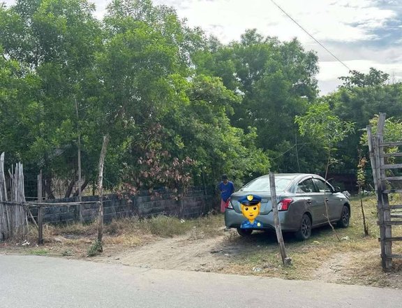 Clean Titled Residential Lot FOR SALE in a Flood Free Area at Binmaley, Pangasinan