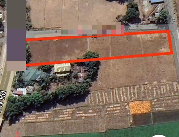 Rawland FOR SALE along McArthur/National Highway at Sta Cruz, Ilocos Sur