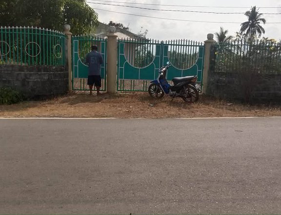 Clean Titled House and Lot FOR SALE along cemented Barangay Road at Sta Cruz, Ilocos Sur
