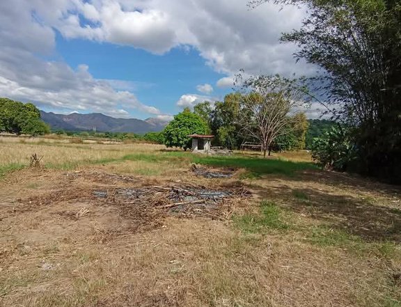 200 sqm residential lot for sale in cabangan zambales