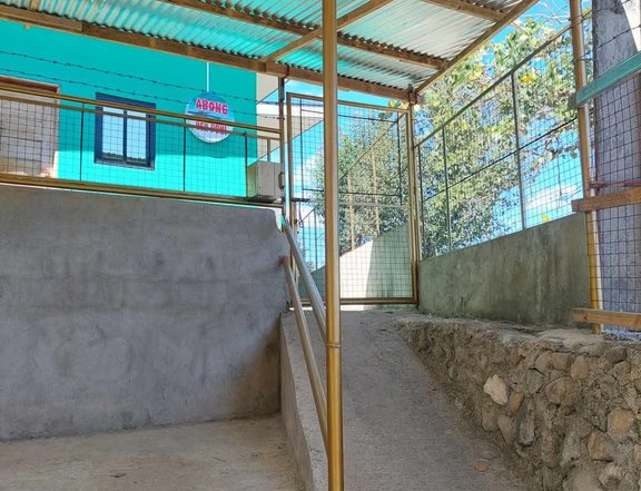 House and Lot FOR SALE along cemented Barangay Road at Itogon, Benguet