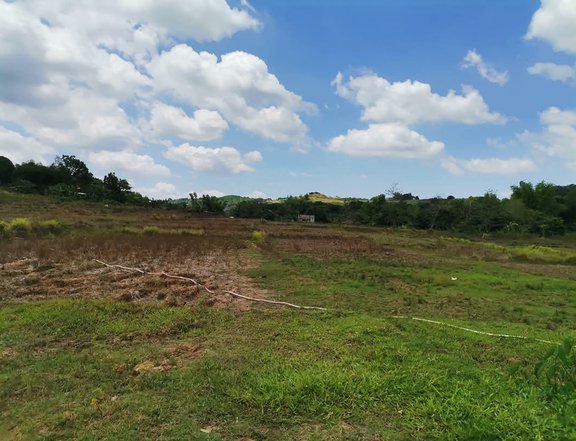 100 sqm residential farm for sale in baras rizal