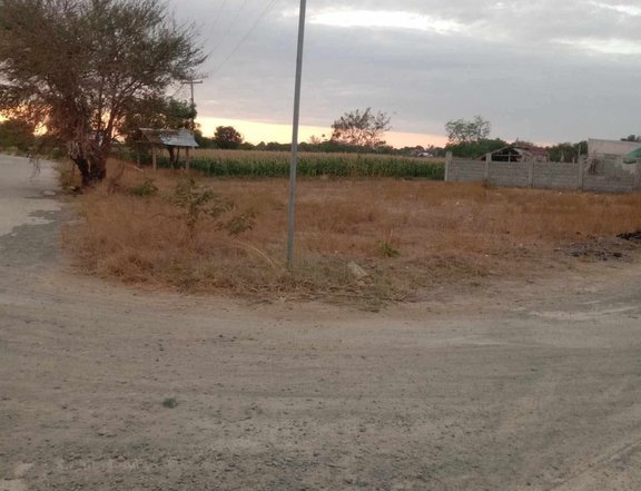 Clean Titled Residential Lot FOR SALE along Brgy road at Vigan City, Ilocos Sur