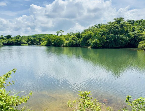 Farn lot locared in kalayaan laguna (lakeside)