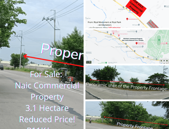 Commercial Property in Naic Cavite 3.1 Hectare @ P11K/sqm.