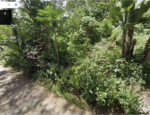700 sqm Residential Lot For Sale By Owner in Bucal Silang Cavite