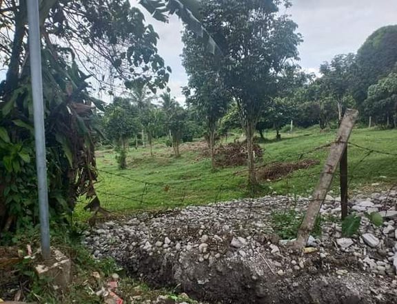 Silang Cavite Lot For Sale