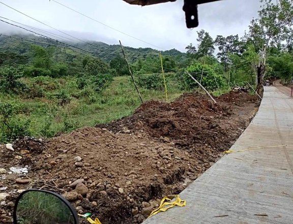 FARMLOT IN ANTIPOLO ALONG THE ROAD CLEAN TITLE