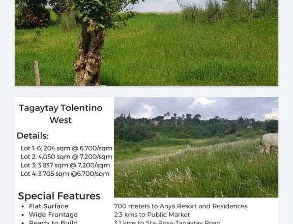 4 adjacent lots for sale in Tolentino West Tagaytay City