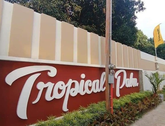 Tropical palm Antipolo