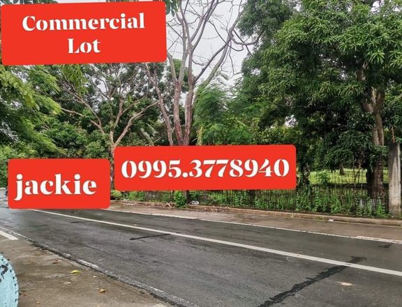 Commercial & Residential Lot Tanay Rizal