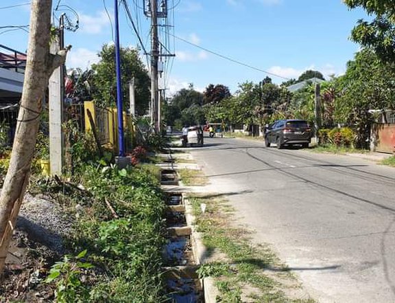 Flat land 50 meters from barangay road