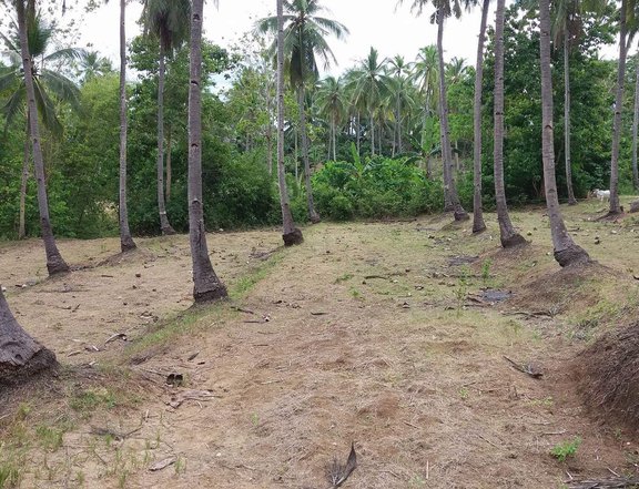 4.07 hectares Lot For Sale in Binigwayan, Laguindingan, Mis Or