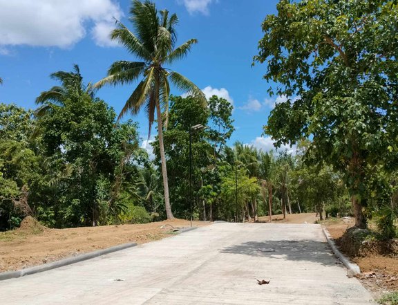 FARM LOT FOR SALE WITH CEMENTED ROAD AND COLD WEATHER