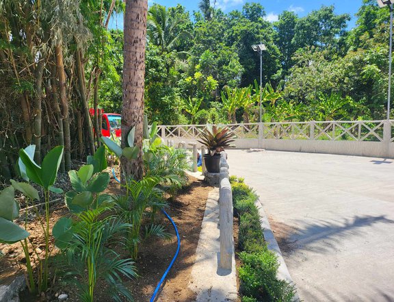 Farm lot with fruits bearing