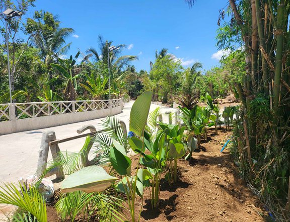 Farm lot near Twin lakes Tagaytay